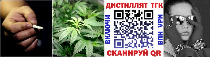 Дистиллят ТГК концентрат закладка Тбилисская