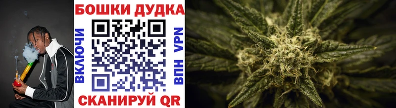 наркошоп  Тбилисская  МЕГА ТОР  Каннабис OG Kush 